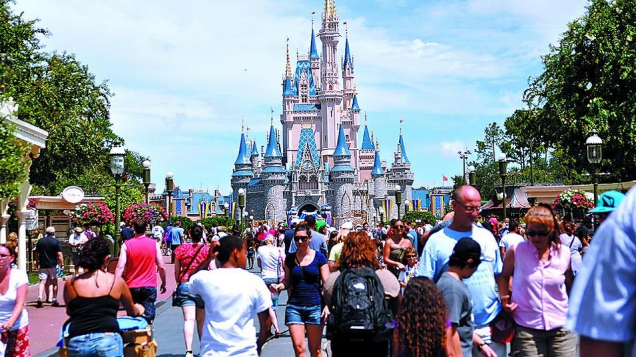 Business lessions Calhoun Companies has learned from Disney