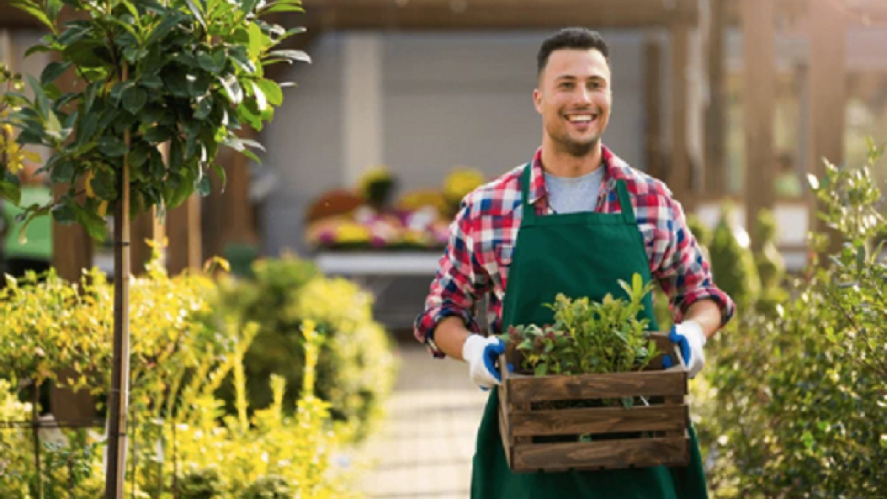 Landscape/Nursery & Snow Removal