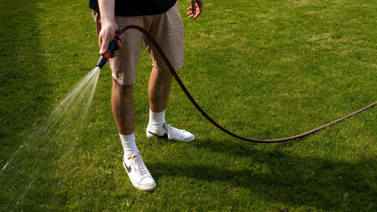 person watering grass