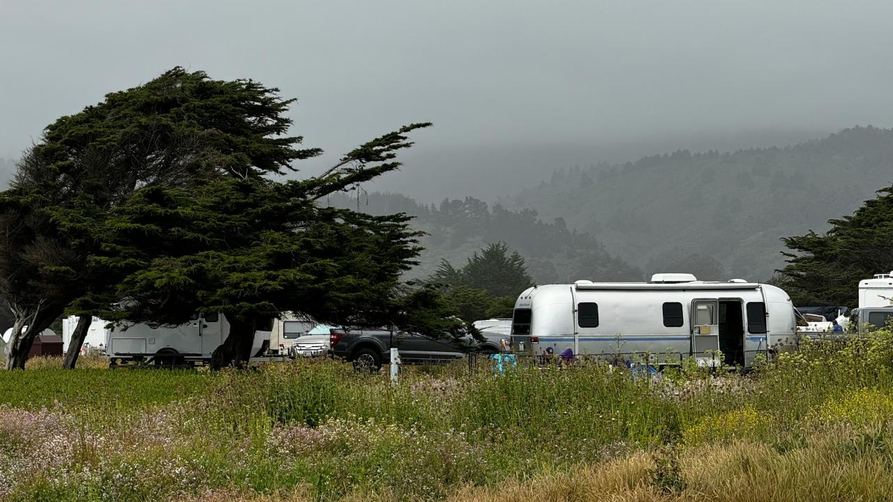 Mobile Homes
