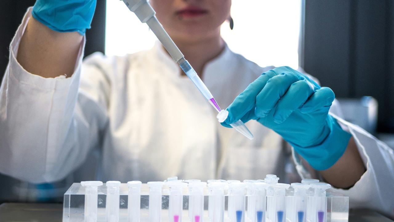 lab employee testing sample