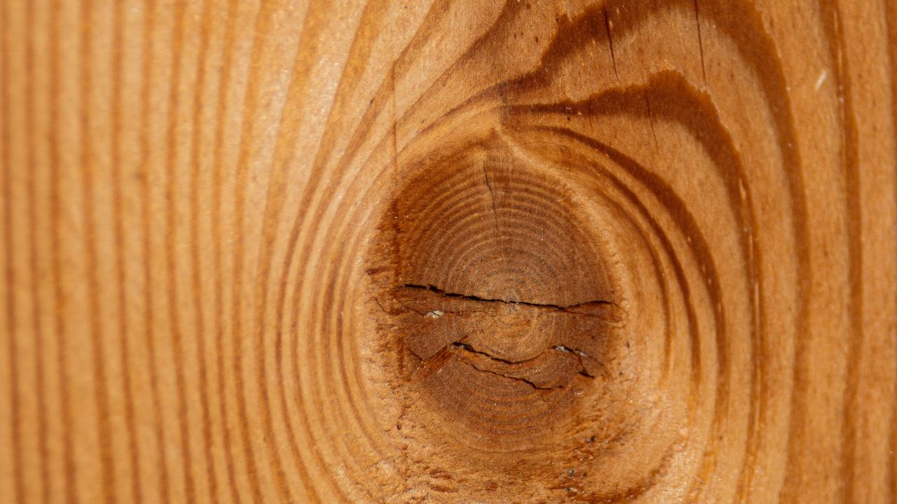 Wood veneer