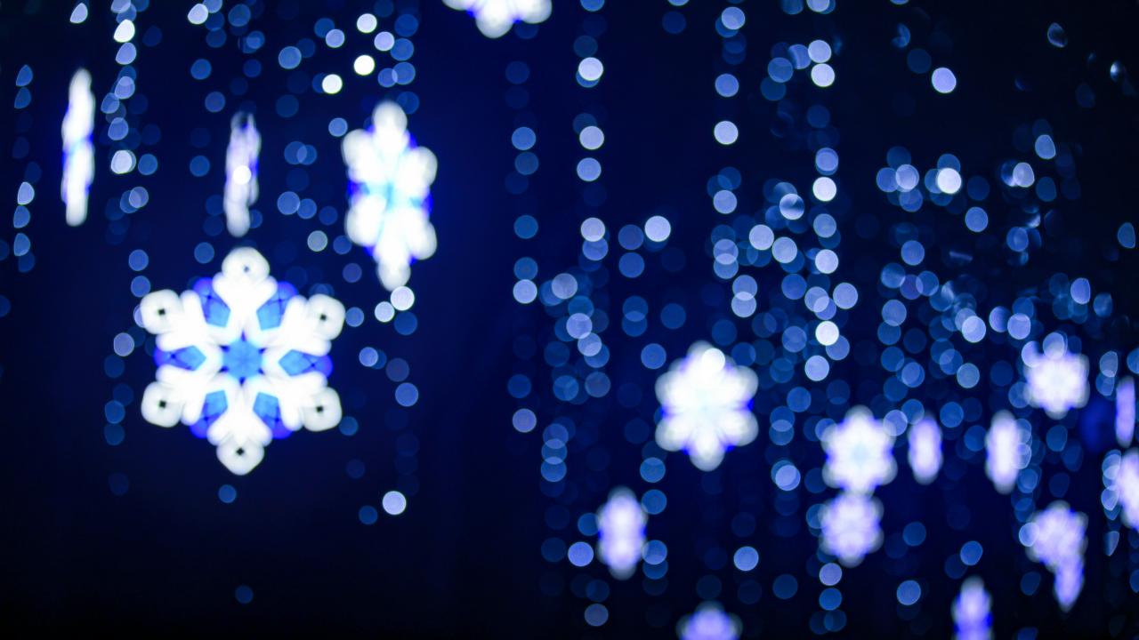 Holiday lights