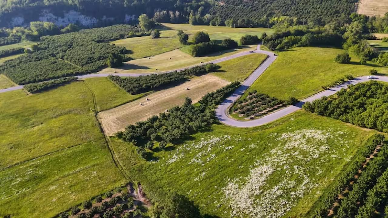 Ariel View